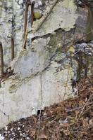 Ligne Maginot - G40 - RUMERSHEIM LE HAUT BERGE 2 - (Blockhaus pour arme infanterie) - Détail du crépissage intérieur du blockhaus. Utilisation de grillage rigide pour le maintien.