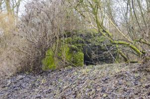 Ligne Maginot - G50 - HOMBOURG BERGE 1 - (Blockhaus pour arme infanterie) - 