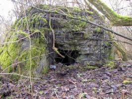 Ligne Maginot - G50 - HOMBOURG BERGE 1 - (Blockhaus pour arme infanterie) - 