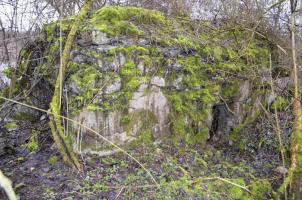 Ligne Maginot - G50 - HOMBOURG BERGE 1 - (Blockhaus pour arme infanterie) - Vue extérieure arrière sur l'entrée