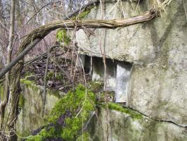 Ligne Maginot - G50 - HOMBOURG BERGE 1 - (Blockhaus pour arme infanterie) - Vestige du créneau de défense de l'abri. lLabri possède deux accès, un accès nord et un accés ouest.