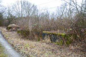 Ligne Maginot - G48 - OTTMARSHEIM - (Blockhaus pour arme infanterie) - Blocs de béton coté Rhin
