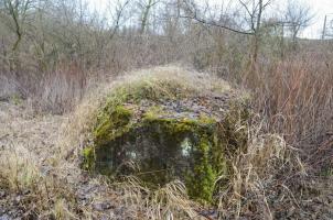 Ligne Maginot - G48 - OTTMARSHEIM - (Blockhaus pour arme infanterie) - Bloc de béton coté Rhin