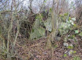Ligne Maginot - G48 - OTTMARSHEIM - (Blockhaus pour arme infanterie) - Le bloc est quasi réduit à un amas de pierre. Les deux créneaux sont à peine visible. Vue de l'arrière, il ne ressemble plus à rien.