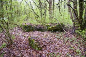 Ligne Maginot - GRUNHUTTE 2 - (Cuve pour arme d'infanterie) - Cuve pour TD, protégeant le carrefour de la route Bantzenheim et du chemin forestier