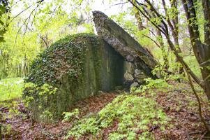 Ligne Maginot - GRUNHUTTE 1 - (Blockhaus pour canon) - Abri d'intervalle, dont il ne reste que le mur nord et une parti du toit