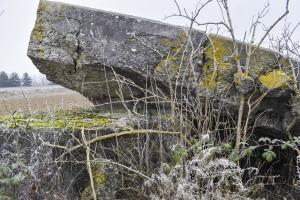 Ligne Maginot - HARTACKER CENTRE - (Blockhaus de type indéterminé) - 
