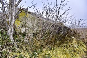 Ligne Maginot - HARTACKER CENTRE - (Blockhaus de type indéterminé) - 