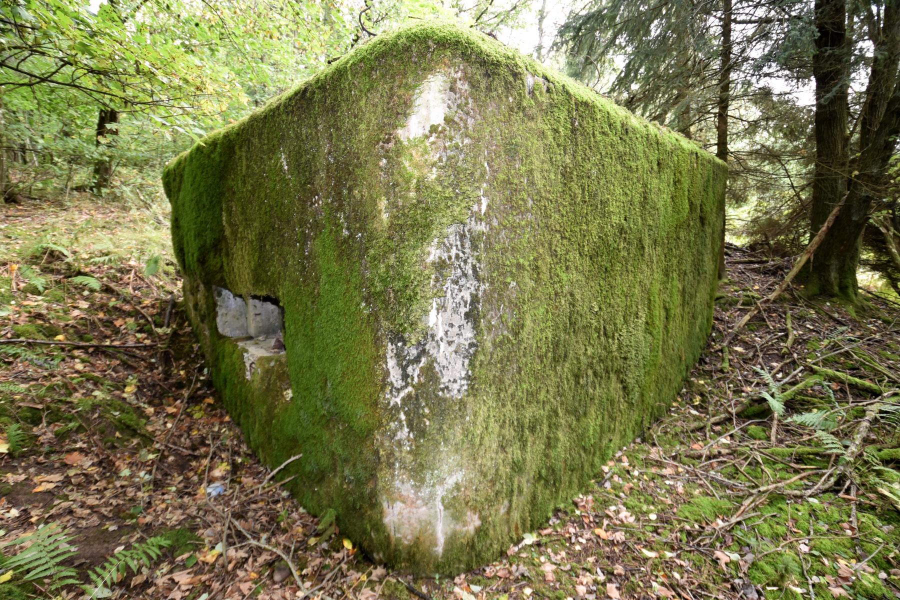 Ligne Maginot - WASENBERG 2 - (Blockhaus pour arme infanterie) -  - knapp ludovic