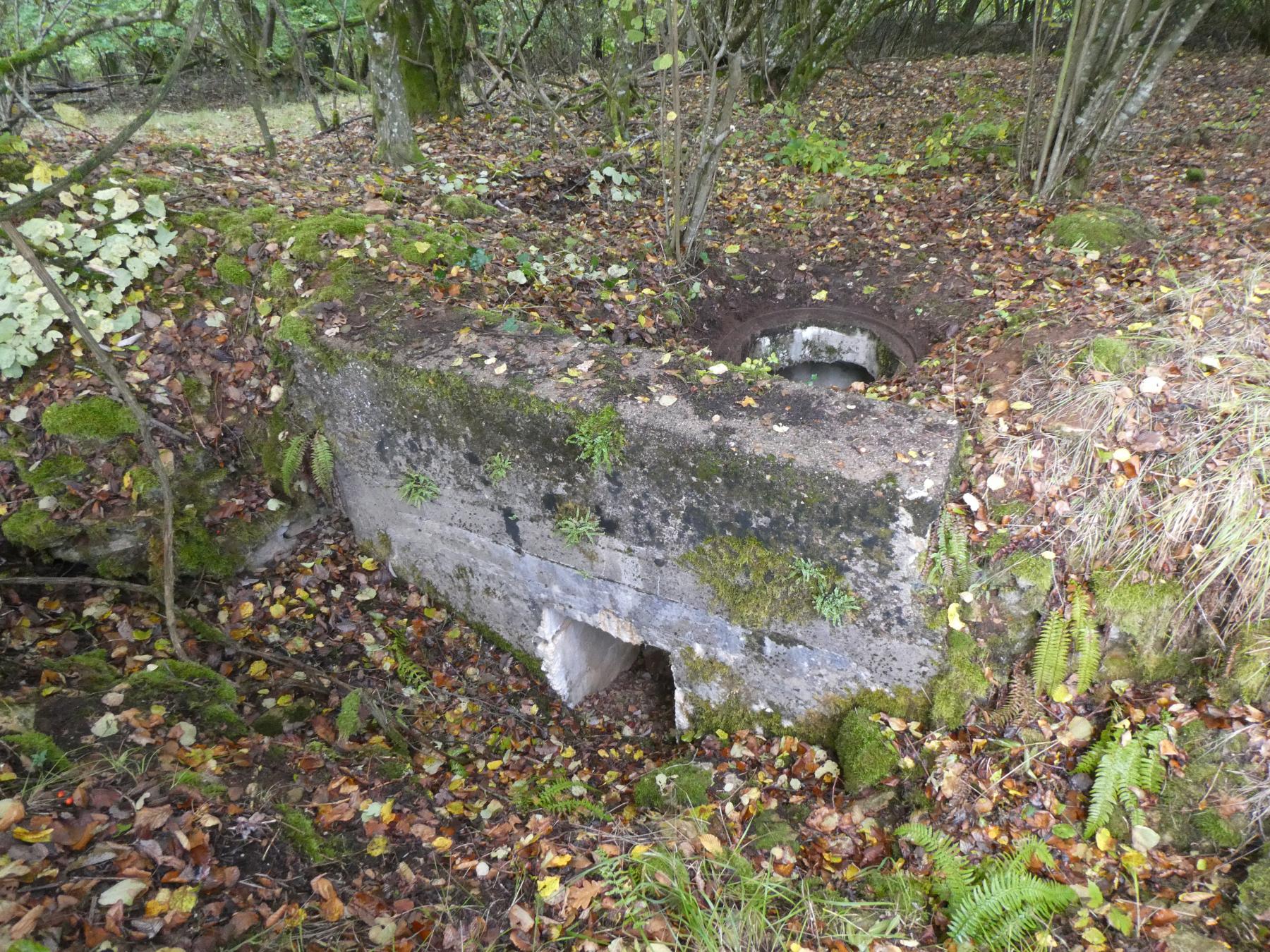 Ligne Maginot - BOIS DE VILLÉCLOYE 2 - (Observatoire d'infanterie) -  - ELLENA - CUNY