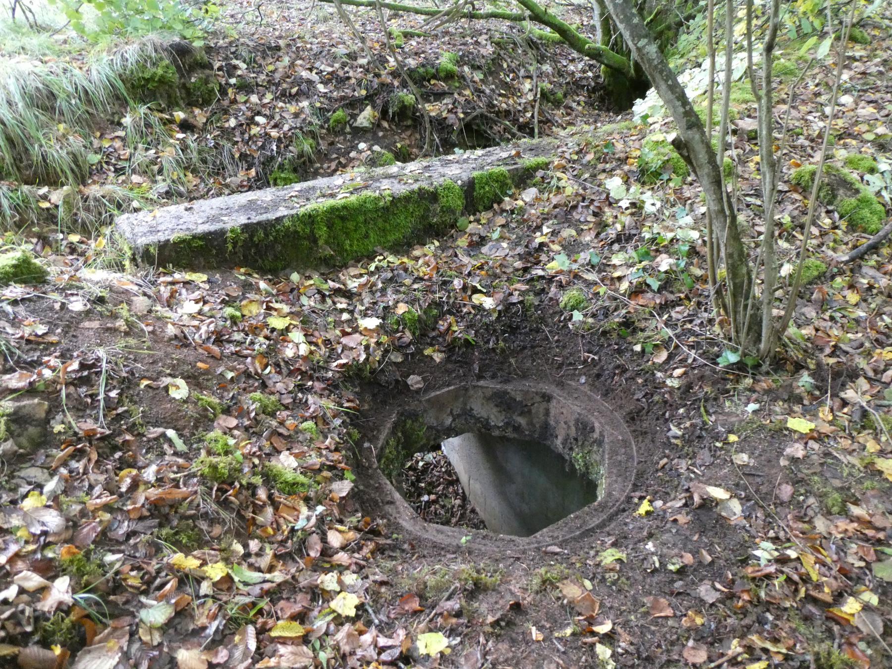 Ligne Maginot - BOIS DE VILLÉCLOYE 2 - (Observatoire d'infanterie) -  - ELLENA - CUNY