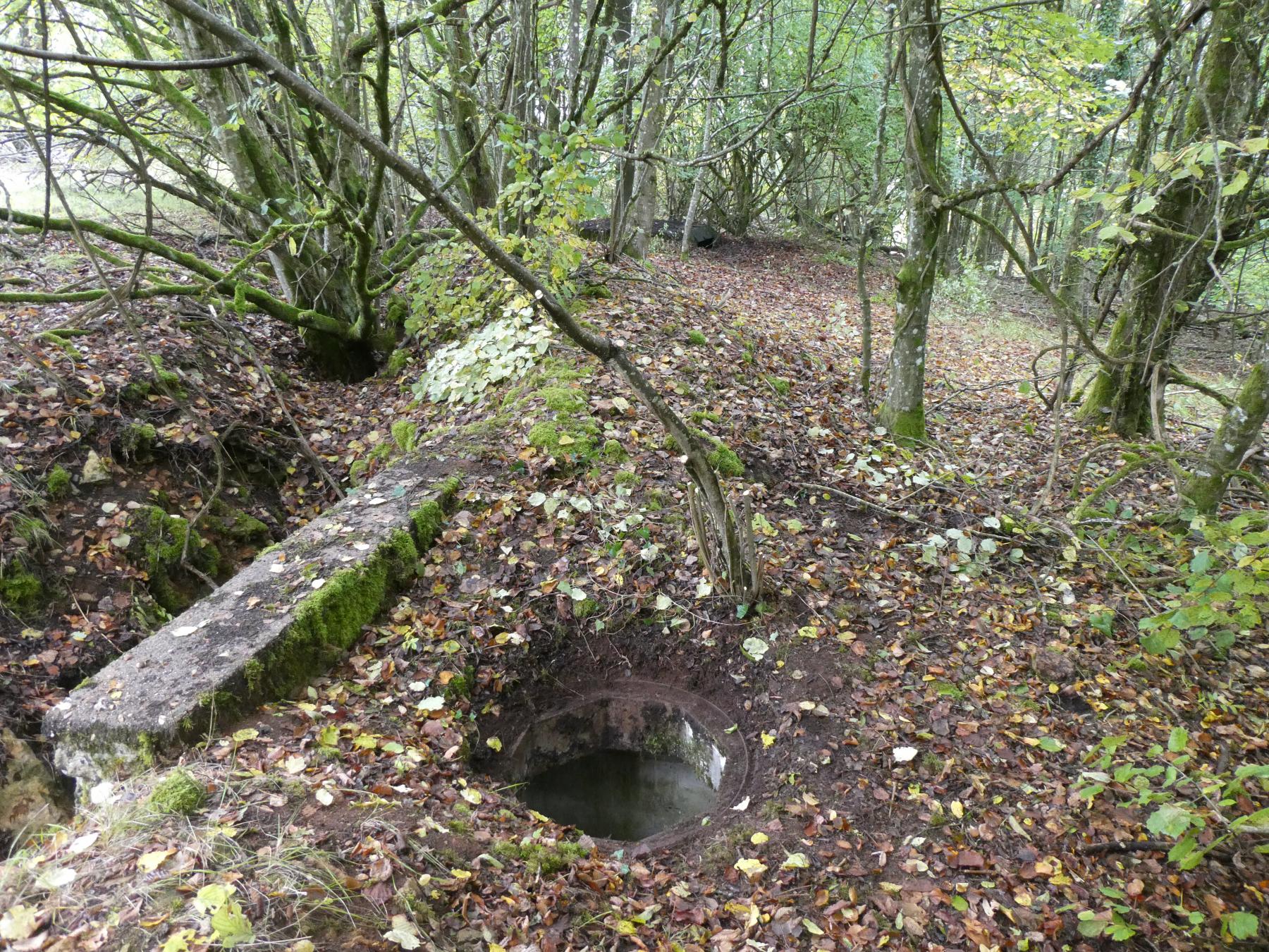 Ligne Maginot - BOIS DE VILLÉCLOYE 2 - (Observatoire d'infanterie) - Au fond l'observatoire d'artillerie  - ELLENA - CUNY
