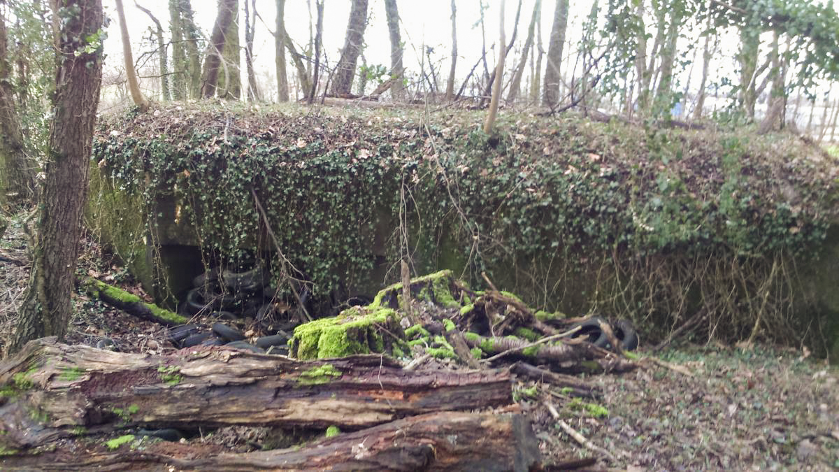 Ligne Maginot - E686 - HESINGUE NORD 3 - (Blockhaus pour canon) - Vue extérieure, de l'autre côté - Mathieu Régli