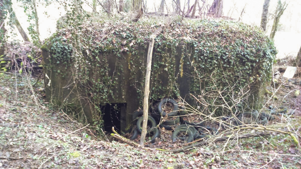 Ligne Maginot - E686 - HESINGUE NORD 3 - (Blockhaus pour canon) - Entrée côté Ouest (la seule) - Mathieu Régli