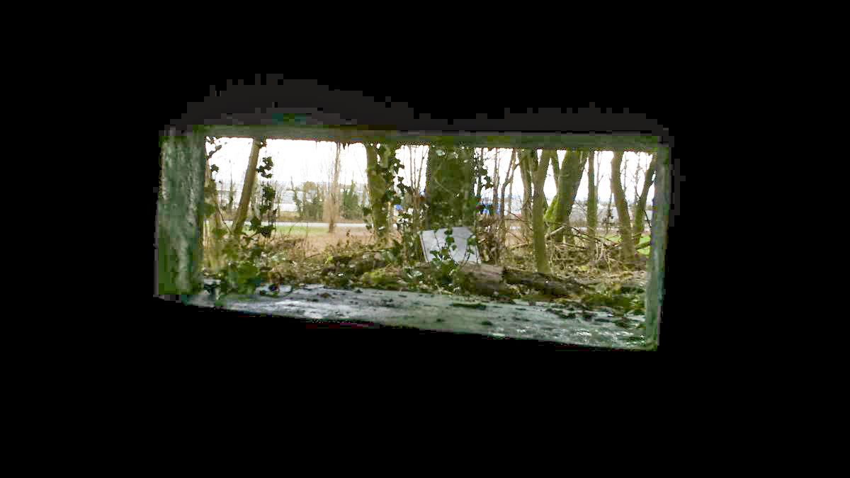 Ligne Maginot - E686 - HESINGUE NORD 3 - (Blockhaus pour canon) - Vue vers l'Allemagne - Mathieu Régli