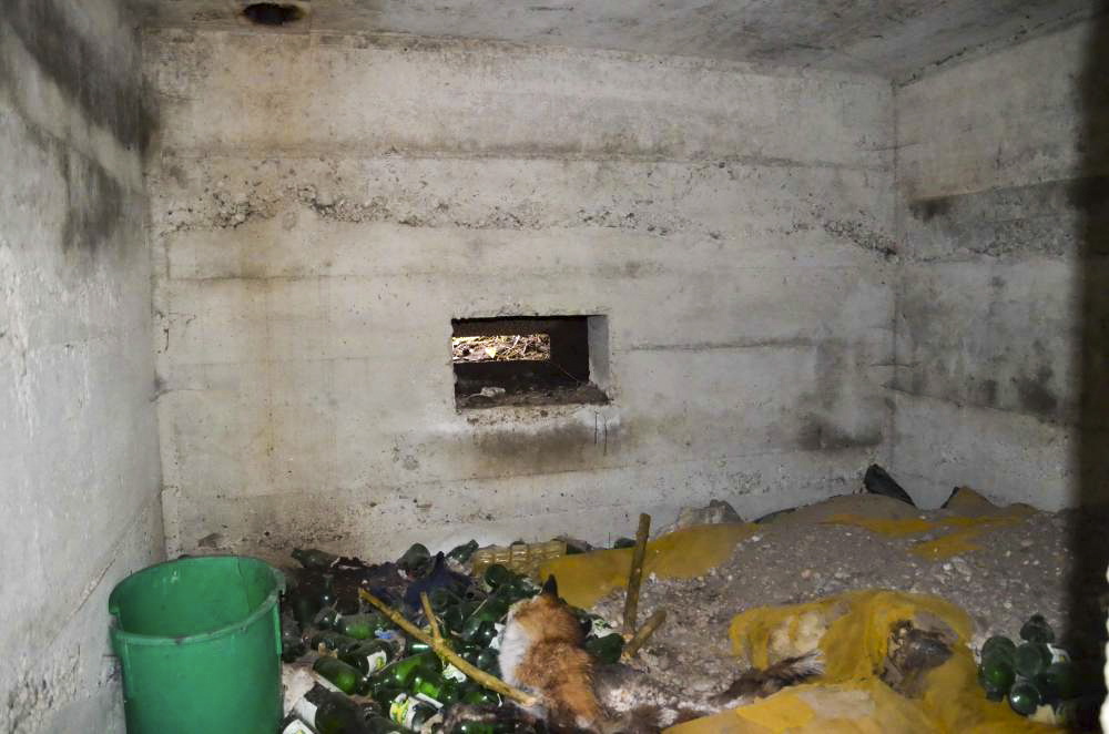 Ligne Maginot - B1582BIS - KEMBS LOECHLE 5 - (Blockhaus pour arme infanterie) - Vue de la chambre de tir - D. Froehly