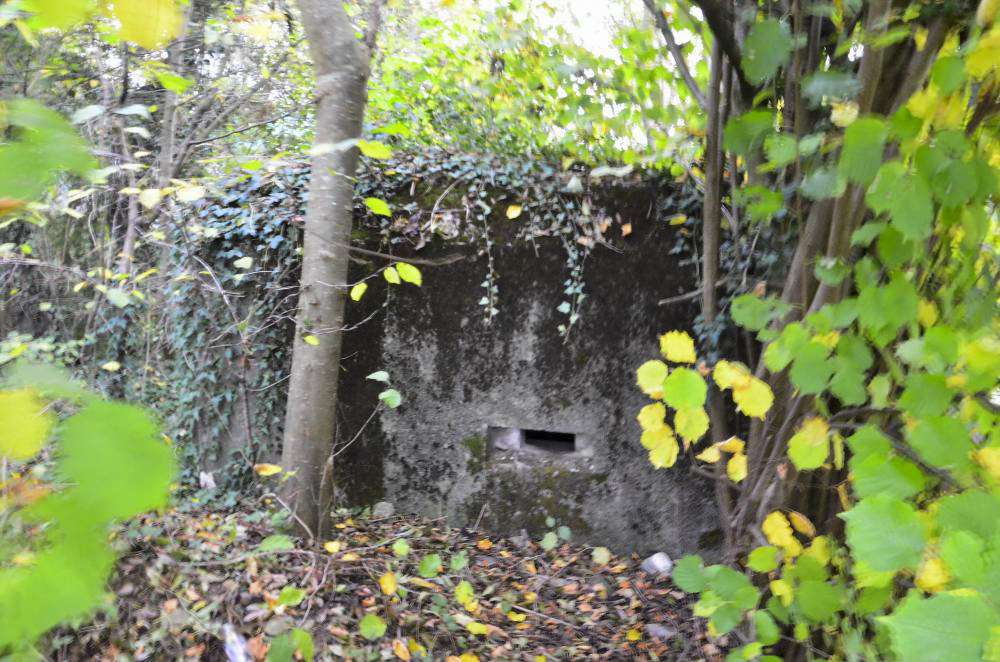 Ligne Maginot - MITTLERE AU OUEST - (Blockhaus pour arme infanterie) - 