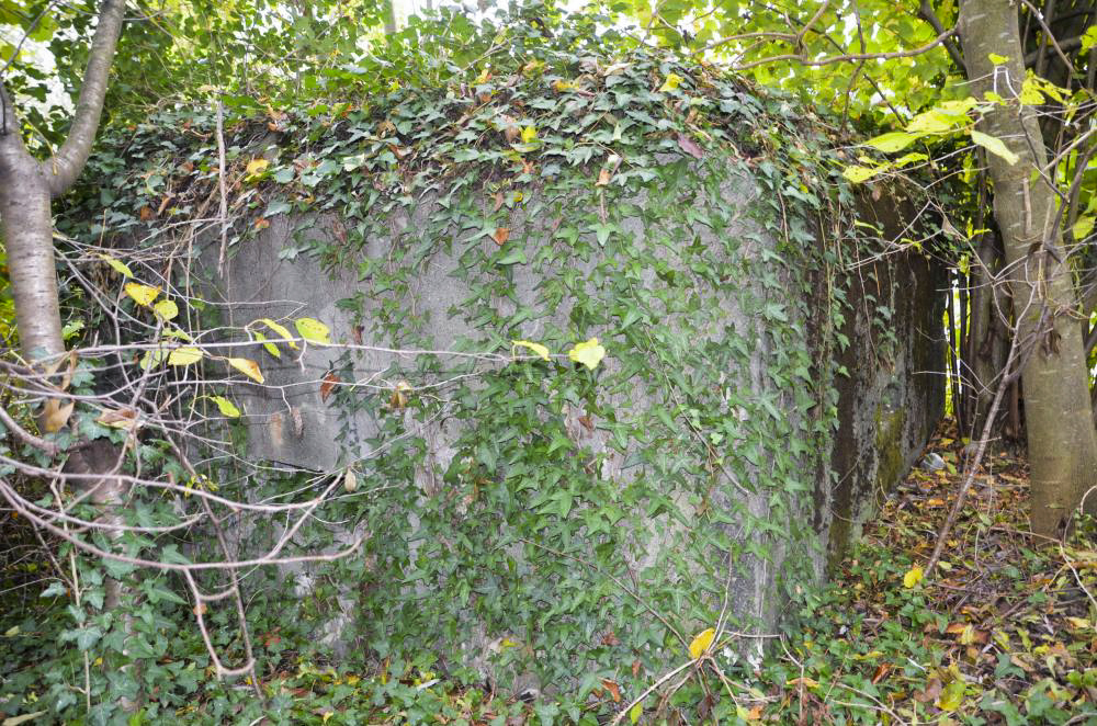Ligne Maginot - MITTLERE AU OUEST - (Blockhaus pour arme infanterie) - Façade coté route, avec un créneau.