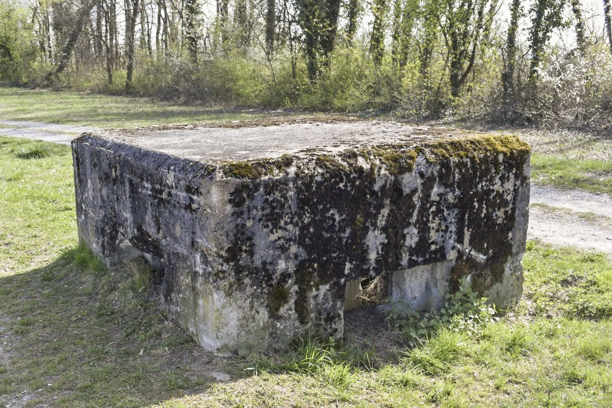 Ligne Maginot - Blockhaus ROSENAU BERGE 2 - 