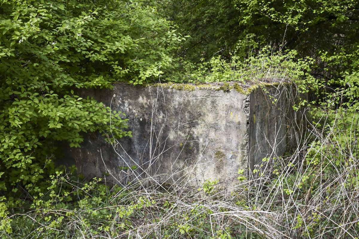 Ligne Maginot - SCHEIDGRABEN - (Blockhaus de type indéterminé) -  - D. Froehly