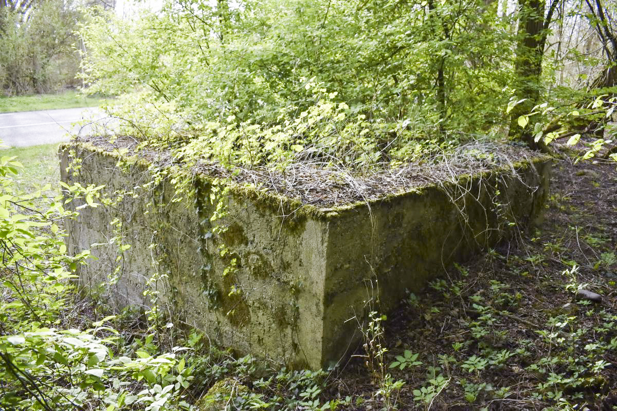 Ligne Maginot - SCHEIDGRABEN - (Blockhaus de type indéterminé) -  - D. Froehly