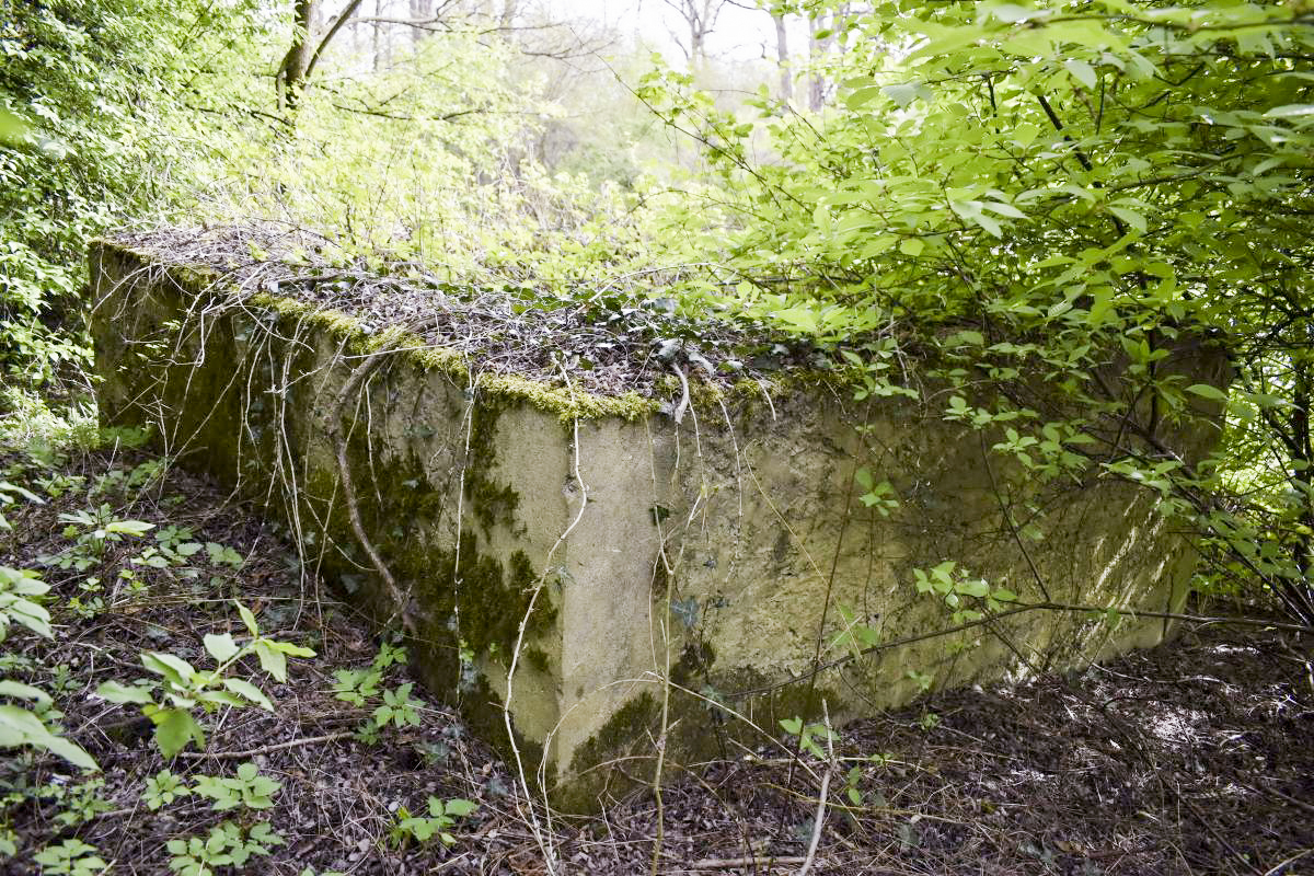 Ligne Maginot - SCHEIDGRABEN - (Blockhaus de type indéterminé) -  - D. Froehly