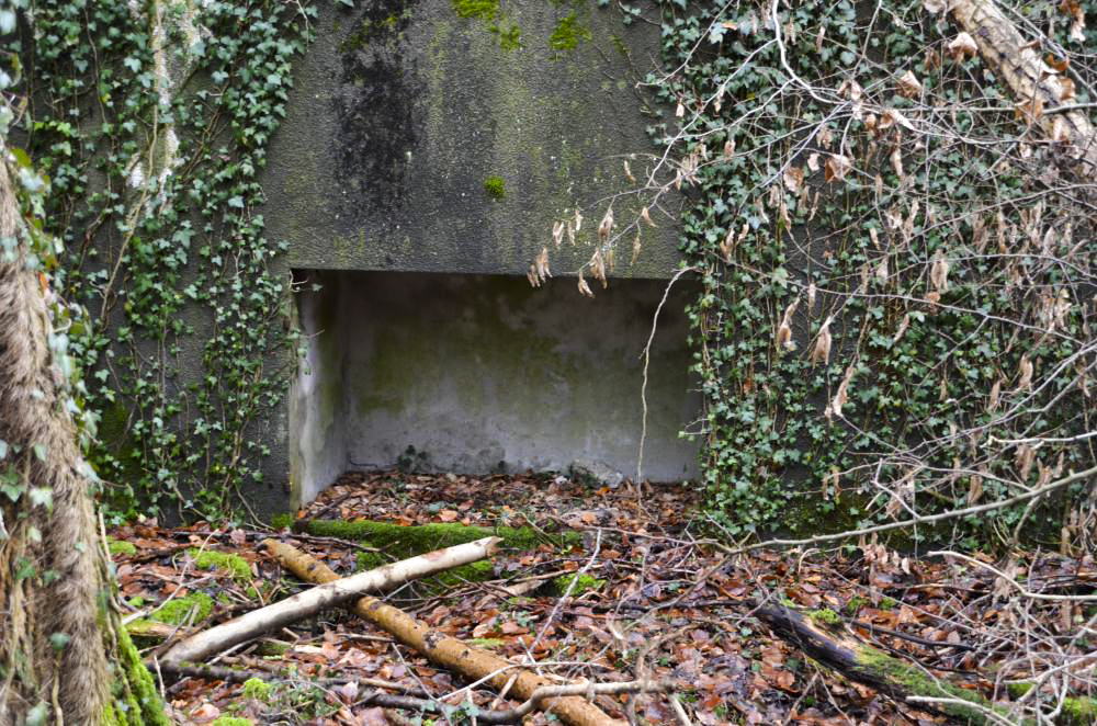 Ligne Maginot - WILLERHOF (BATTERIE DE) - (Position d'artillerie préparée) - Encuvement 1
Niche à munitions de gauche - D. Froehly