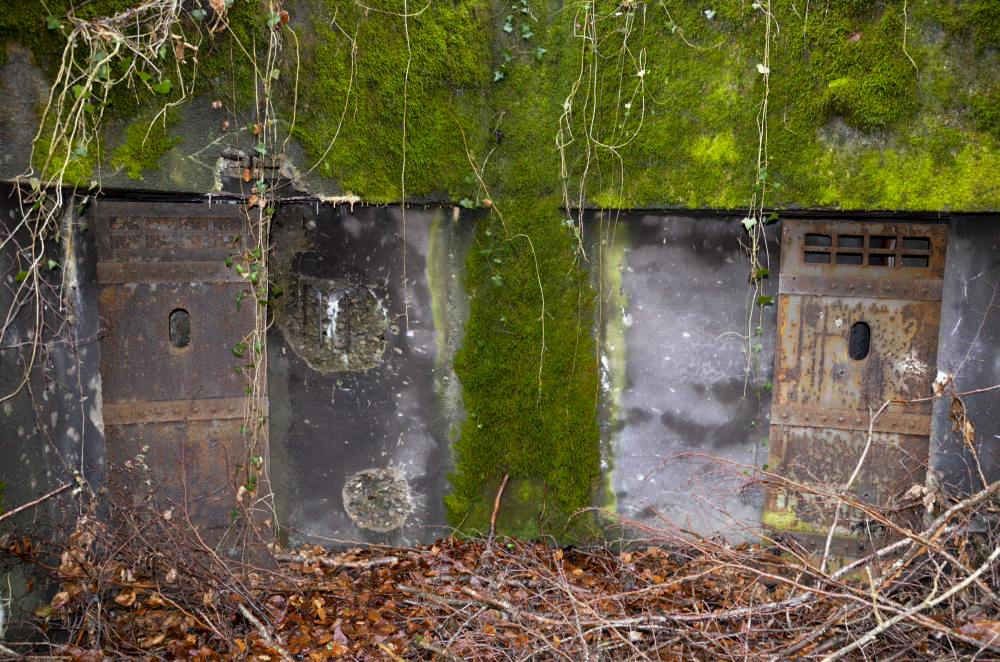 Ligne Maginot - WILLERHOF (BATTERIE DE) - (Position d'artillerie préparée) - Abri
Vue des deux portes - D. Froehly