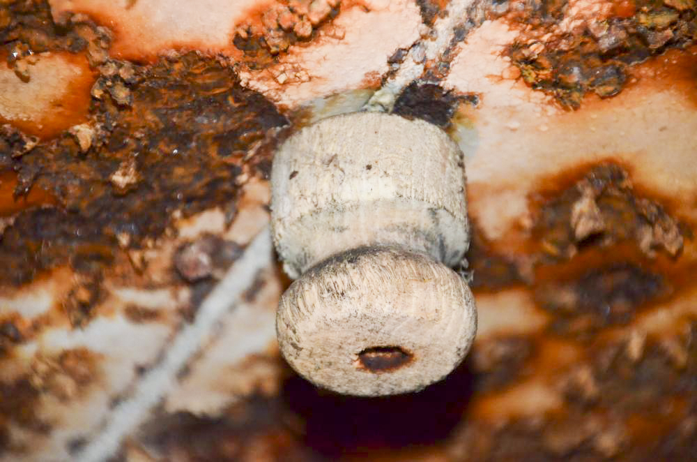 Ligne Maginot - WILLERHOF (BATTERIE DE) - (Position d'artillerie préparée) - Abri 
Isolateur en bois - D. Froehly