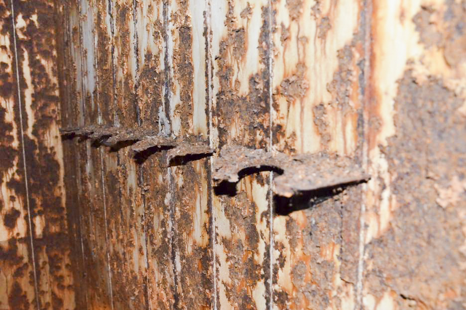 Ligne Maginot - WILLERHOF (BATTERIE DE) - (Position d'artillerie préparée) - Abri
Support d'armes - D. Froehly