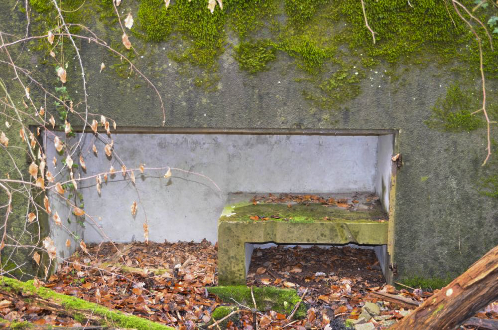 Ligne Maginot - WILLERHOF (BATTERIE DE) - (Position d'artillerie préparée) - Encuvement 1
Niche à munitions de droite - D. Froehly