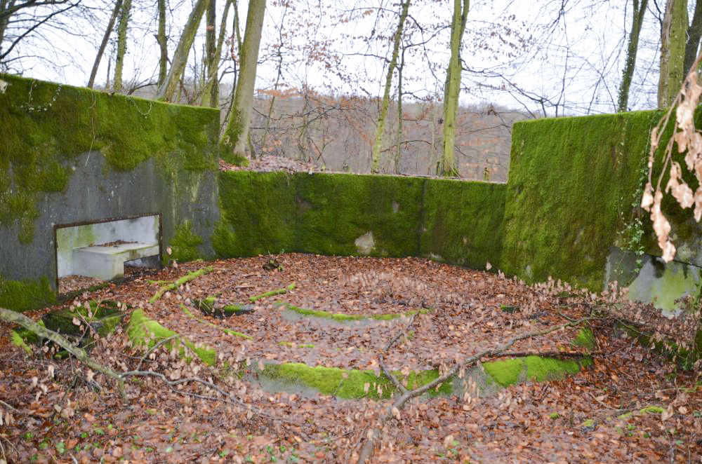 Ligne Maginot - WILLERHOF (BATTERIE DE) - (Position d'artillerie préparée) - Encuvement 3
L'intérieur - D. Froehly