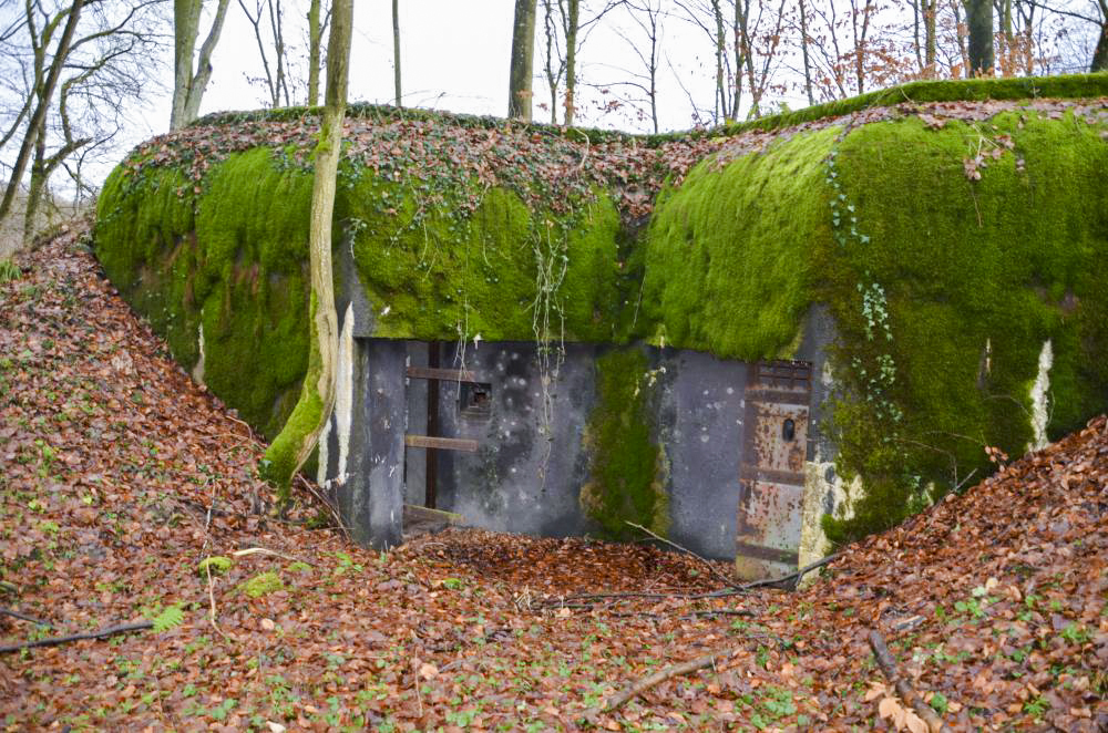 Ligne Maginot - WILLERHOF (BATTERIE DE) - (Position d'artillerie préparée) - Abri PC de la batterie
Vue générale - D. Froehly