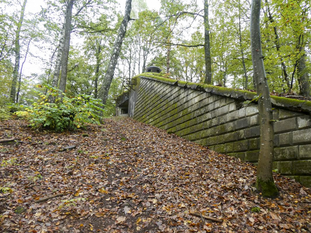 Ligne Maginot - BIESENBERG SOMMITALE - (Casemate d'infanterie - Simple) - 