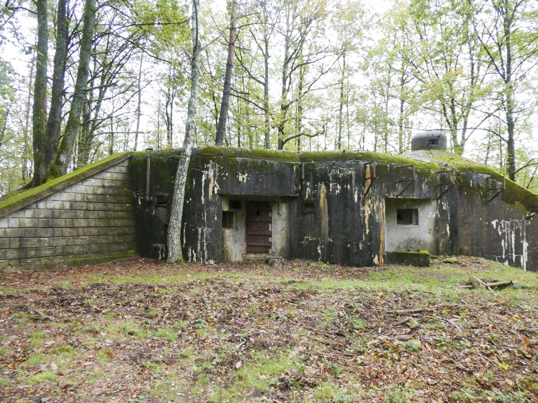 Ligne Maginot - BIESENBERG SOMMITALE - (Casemate d'infanterie - Simple) - 