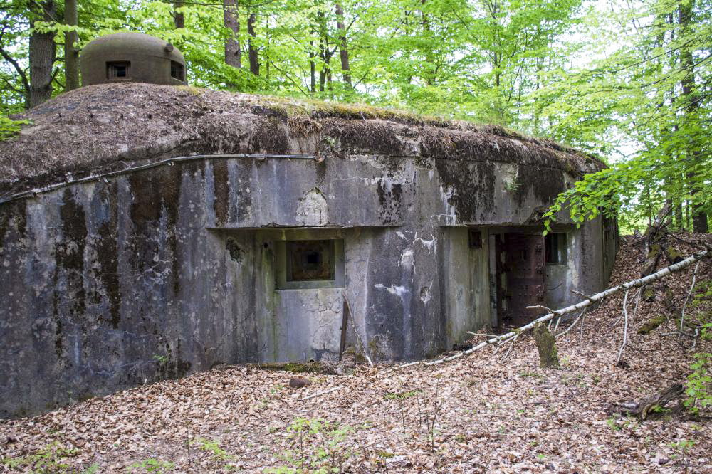 Ligne Maginot - BIESENBERG 6 - (Blockhaus pour arme infanterie) - Façade ouest - Rémy RICHTER