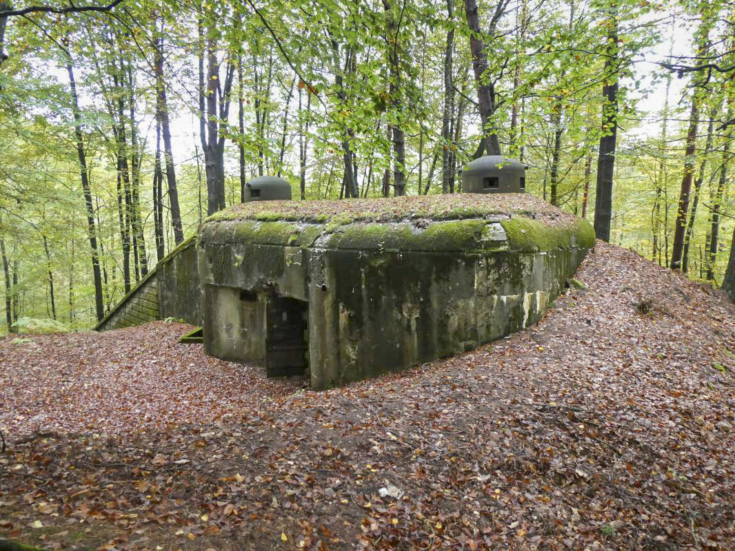 Ligne Maginot - BIESENBERG 6 - (Blockhaus pour arme infanterie) -  - ELLENA - CUNY