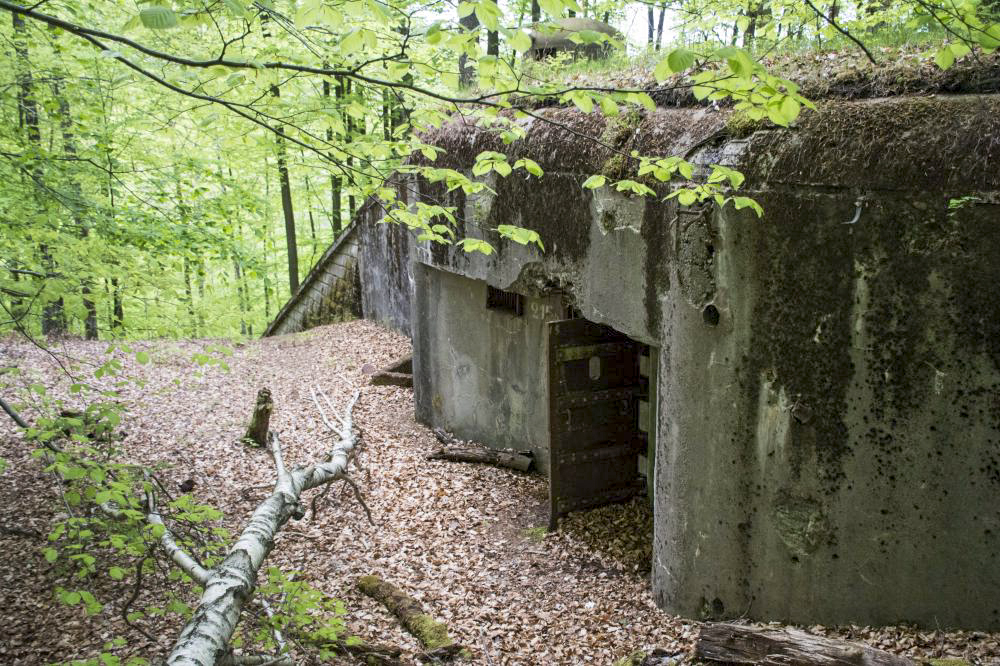 Ligne Maginot - BIESENBERG 6 - (Blockhaus pour arme infanterie) - Façade arrière - Rémy RICHTER