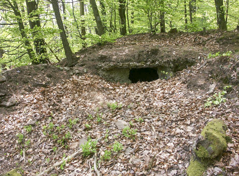 Ligne Maginot - BIESENBERG GAUCHE - (Observatoire d'artillerie) - Observatoire annexe gauche
Créneau d'observation de l'observatoire accolé à la droite de la casemate