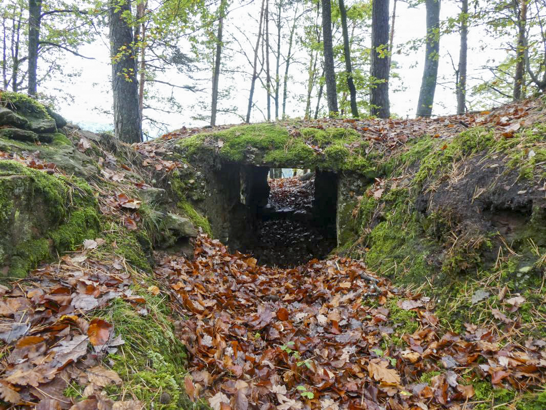 Ligne Maginot - BIESENBERG GAUCHE - (Observatoire d'artillerie) - 
