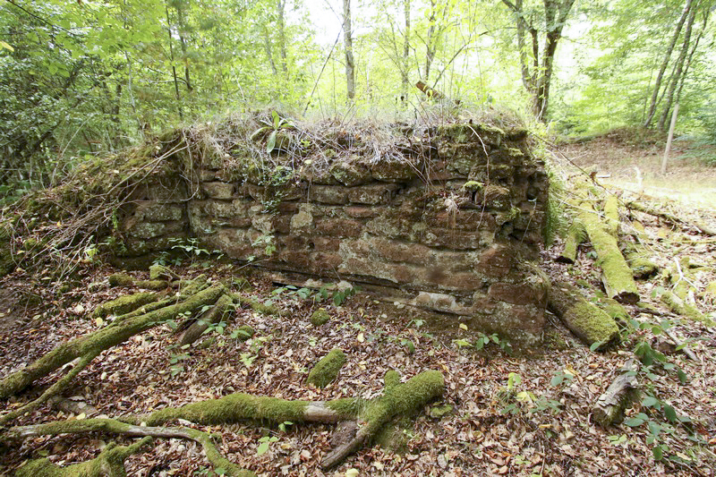 Ligne Maginot - GLASBRONN 1 - (Blockhaus pour arme infanterie) - Etat en 2016, le temps fait son œuvre - GRUBER Franck