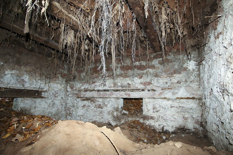Ligne Maginot - GLASBRONN 1 - (Blockhaus pour arme infanterie) - Chambre de tir
2016 - GRUBER Franck