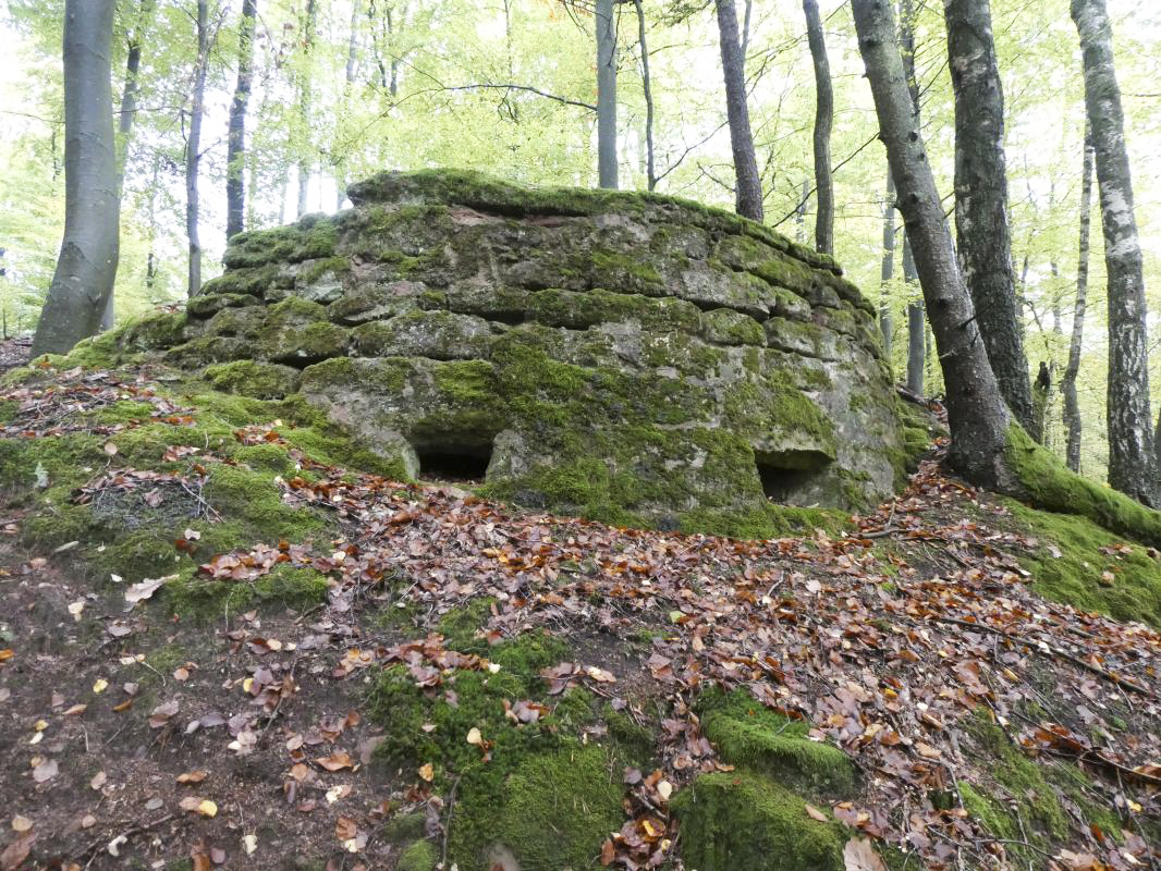 Ligne Maginot - BIESENBERG 6 - (Cuve pour arme d'infanterie) - 