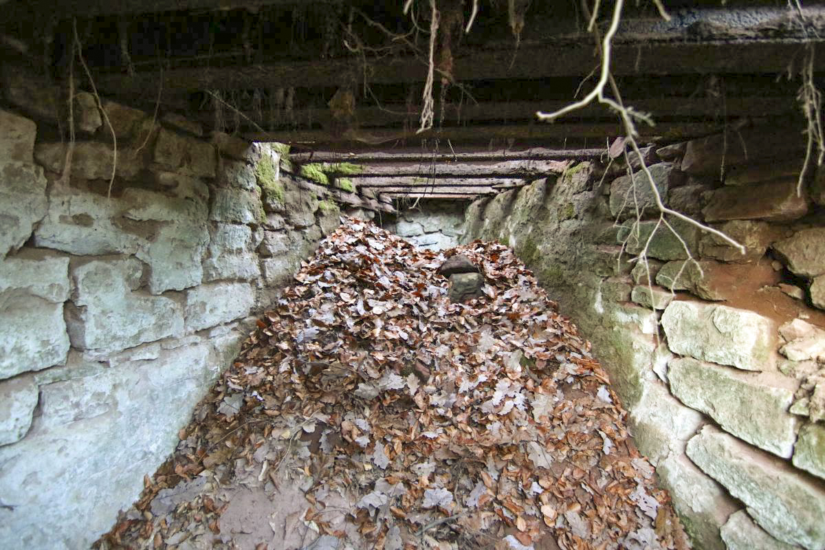 Ligne Maginot - BIESENBERG - (PC de Sous-Quartier) - 2019