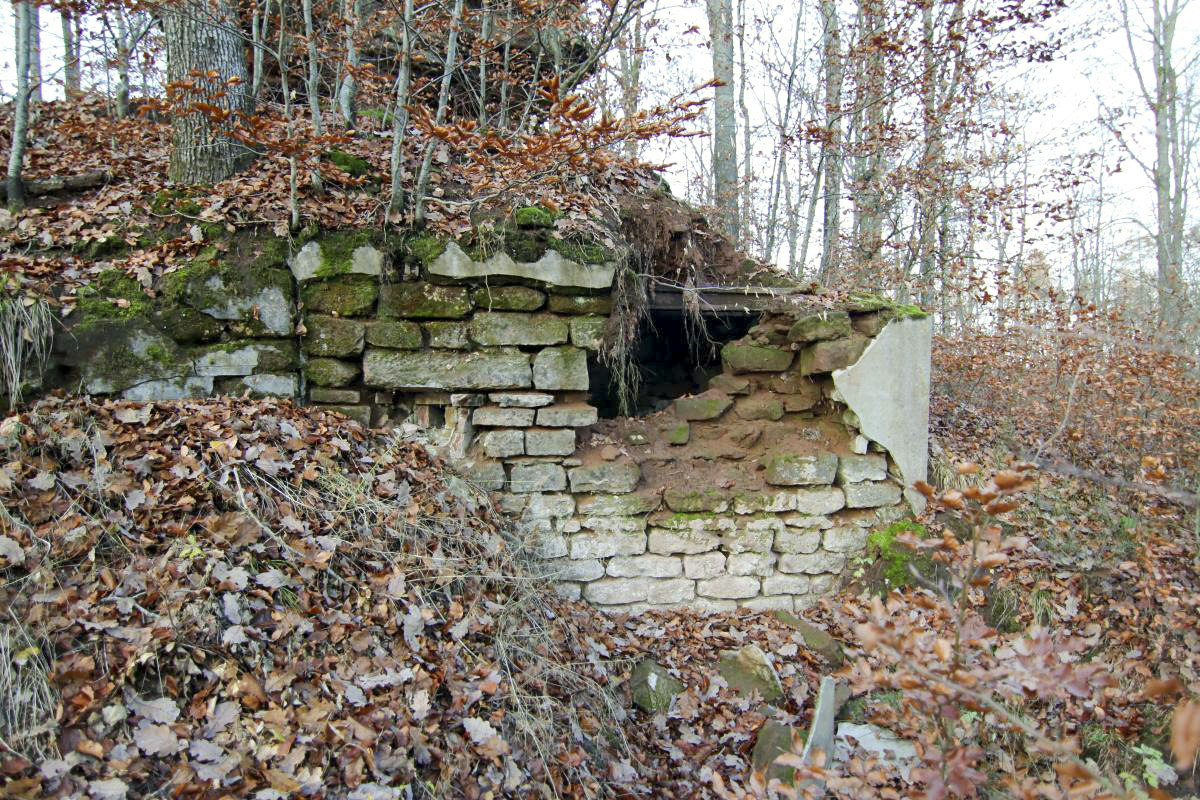 Ligne Maginot - BIESENBERG - (PC de Sous-Quartier) - 2019