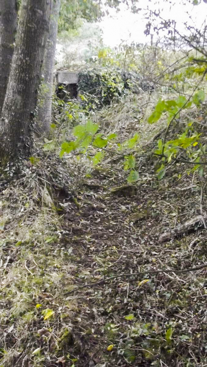 Ligne Maginot - Cuve à mortier de la SERPE - Tranchée d'accès