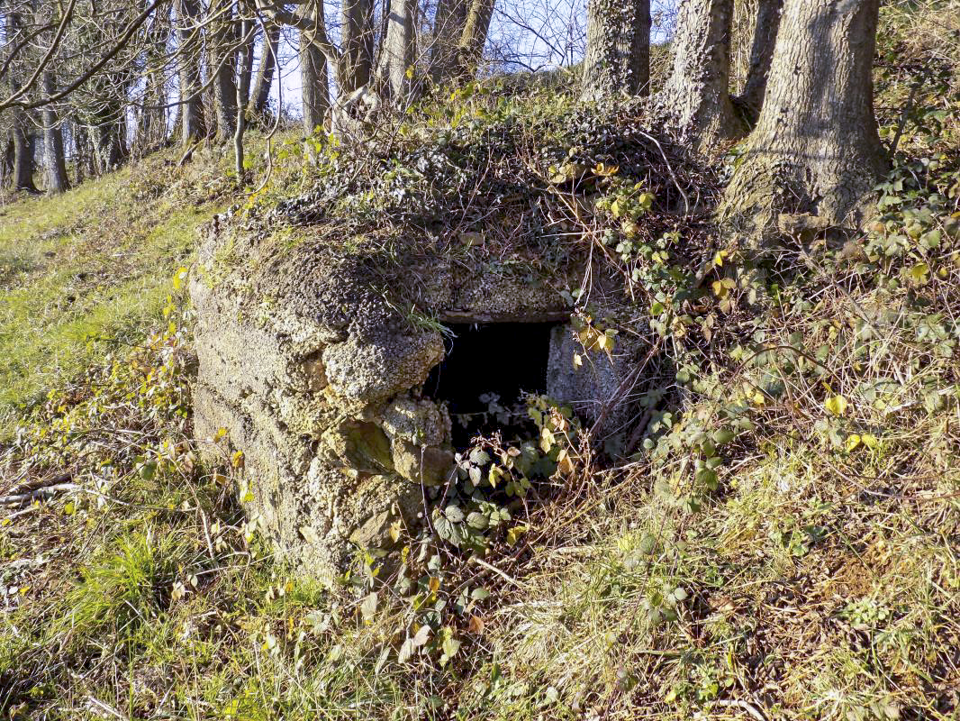 Ligne Maginot - Cuve à mortier de la SERPE - Face droite, l'entrée