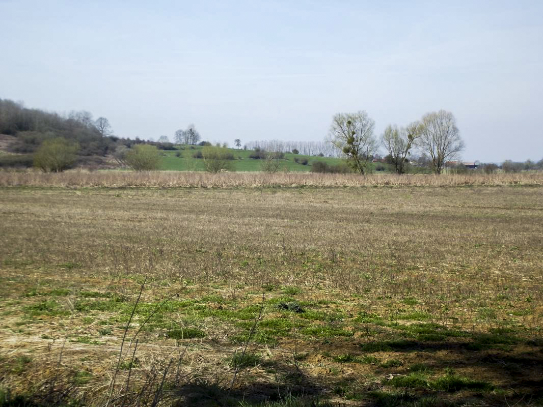 Ligne Maginot - T2BIS - (Cuve pour arme d'infanterie) - Vue vers l'ouvrage de La Ferté, on voit le réseau de barbelés qui descend vers la Chiers