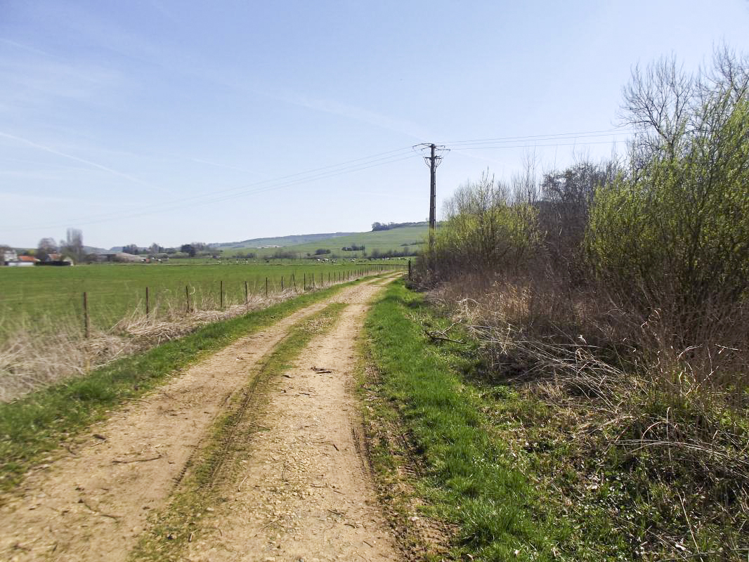 Ligne Maginot - T2BIS - (Cuve pour arme d'infanterie) - Vue vers la colline de Saint Walfroy