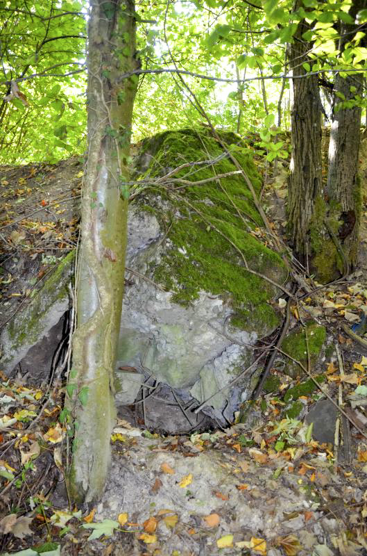 Ligne Maginot - 115 - RAEDERSDORF - (Casemate d'artillerie) - Blocs de béton